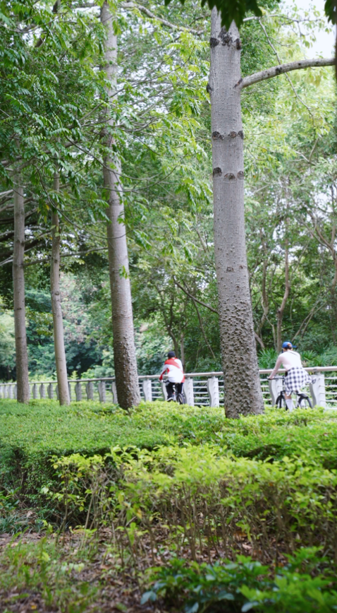 NTDQa, 龙象塔 NTDQa, 龙象塔